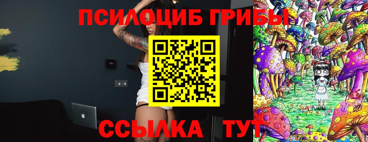 Зеленокумск  Псилоцибиновые грибы прущие грибы  Вход с VPN 