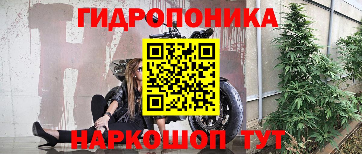 Марихуана Amnesia  Каннабис OG Kush  Зеленокумск  Вход с VPN 
